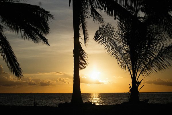 Découvrez les meilleurs appartements à houlgate avec vues